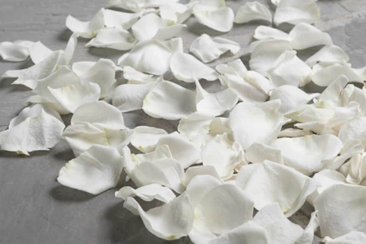 petal dictionary