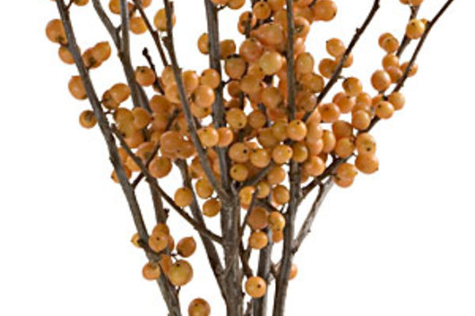 Ilex Berry, tall-golden