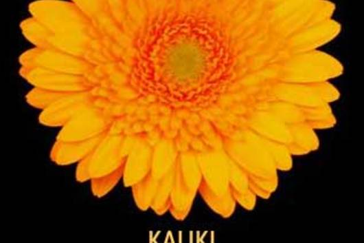 Mini Gerberas-gold (Kaliki)