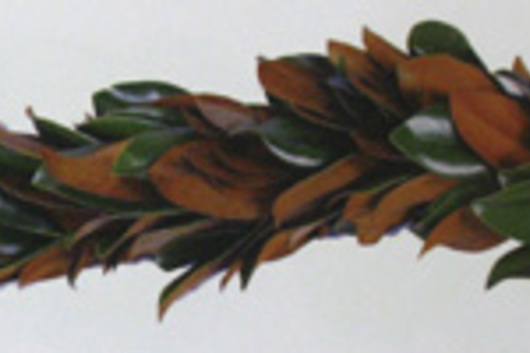 Magnolia Garland 10' Varigated-green/brown